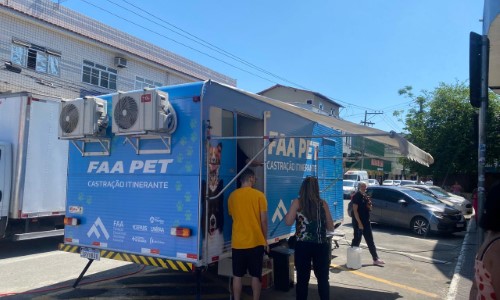 VR: parceria com Fundação Educacional Dom André Arcoverde realiza castração em mais de 500 animais